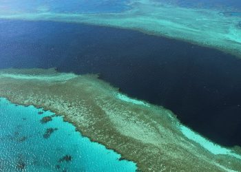 Australia se opondrá a incluir la Gran Barrera de Coral como patrimonio en peligro
