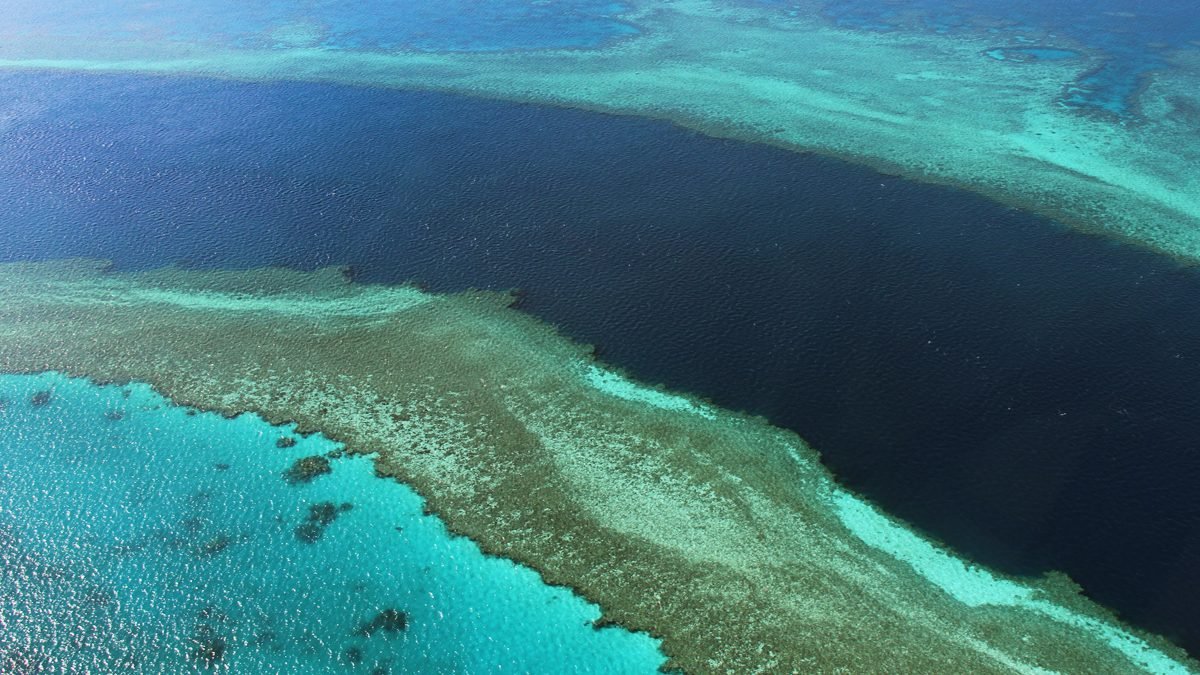 Australia se opondrá a incluir la Gran Barrera de Coral como patrimonio en peligro