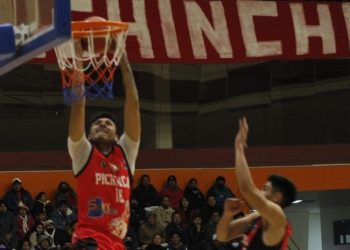 Libobasquet