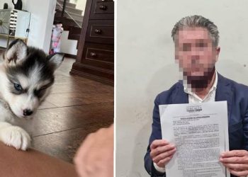 El extranjero es acusado de biocidio. Foto: Unitel