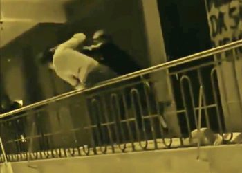 Estudiantes protagonizan escenas violentas en el tercer piso de una unidad educativa. Foto: Captura RRSS