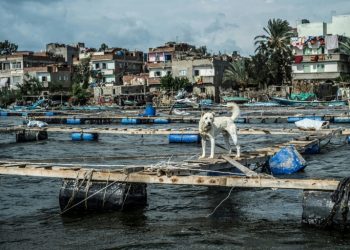 Egipto importará más agua de la que obtiene del Nilo en 10 años