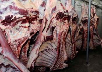 Un comité evaluará un posible nuevo cupo de exportación de carne de res para 2022