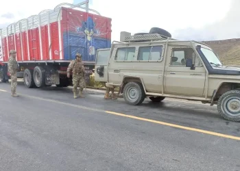 Contrabandistas recuperan 30 cabezas de ganado en una semana