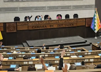 Diputados