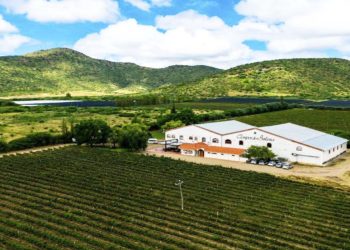 Vista del hermoso panorama que ofrecen los viñedos en Tarija.