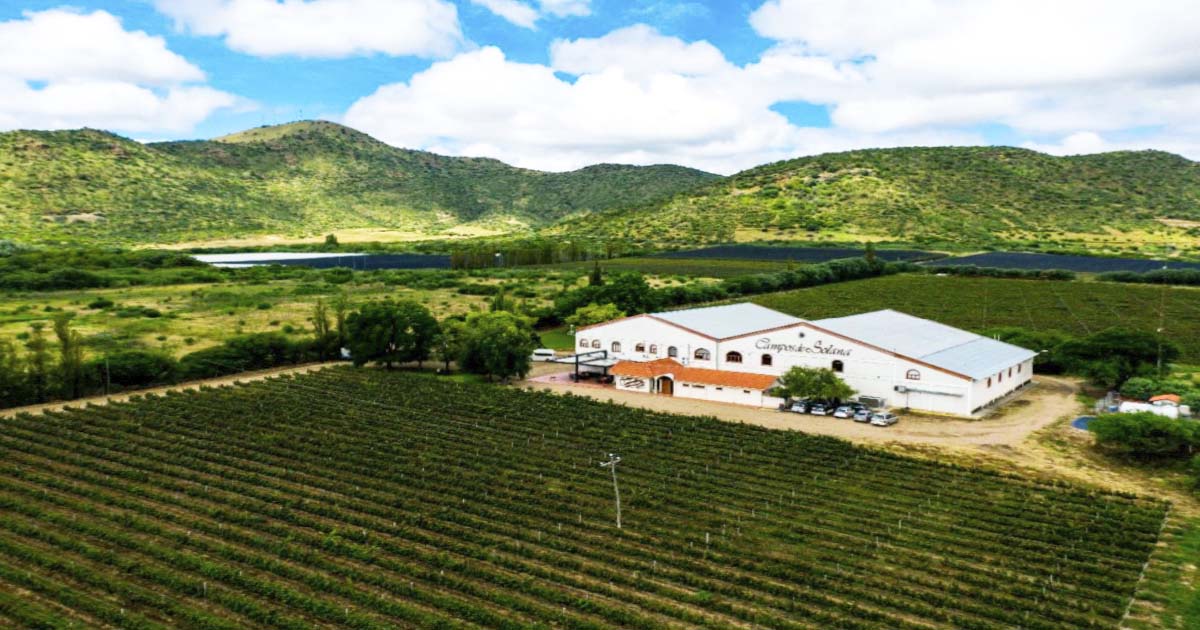 Vista del hermoso panorama que ofrecen los viñedos en Tarija.