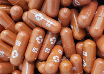 Agencia Europea del Medicamento lanza revisión acelerada de la píldora anti COVID-19