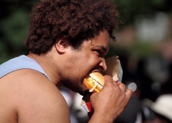 Hallan cómo dieta rica en grasas perjudica a la microbiota favoreciendo enfermedades cardíacas