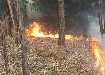 Al menos 250 efectivos logran controlar el incendio en el Parque Tunari
