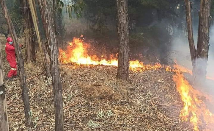 Al menos 250 efectivos logran controlar el incendio en el Parque Tunari