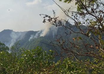 Calvimontes dice que es ‘imposible’ que el incendio de Pilón Lajas llegue al Madidi