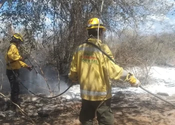 incendios_dos.jpg