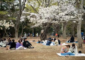 La edad general de jubilación en Japón es a los 65 años. Foto: Europa Press