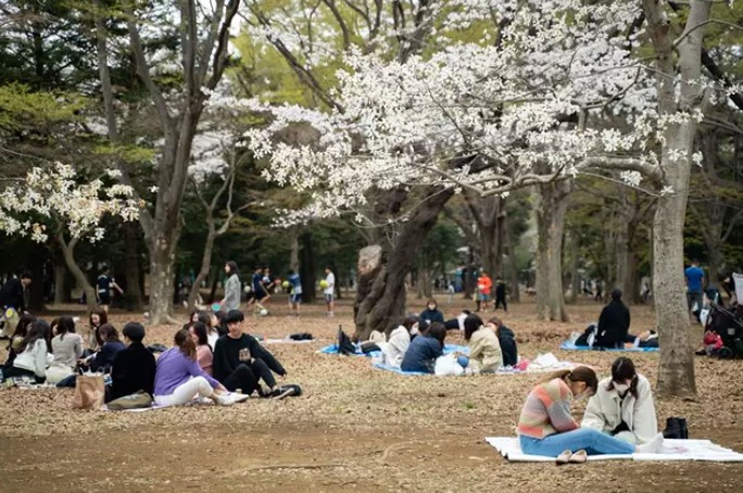 La edad general de jubilación en Japón es a los 65 años. Foto: Europa Press