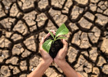 China y Países Bajos cambio climático