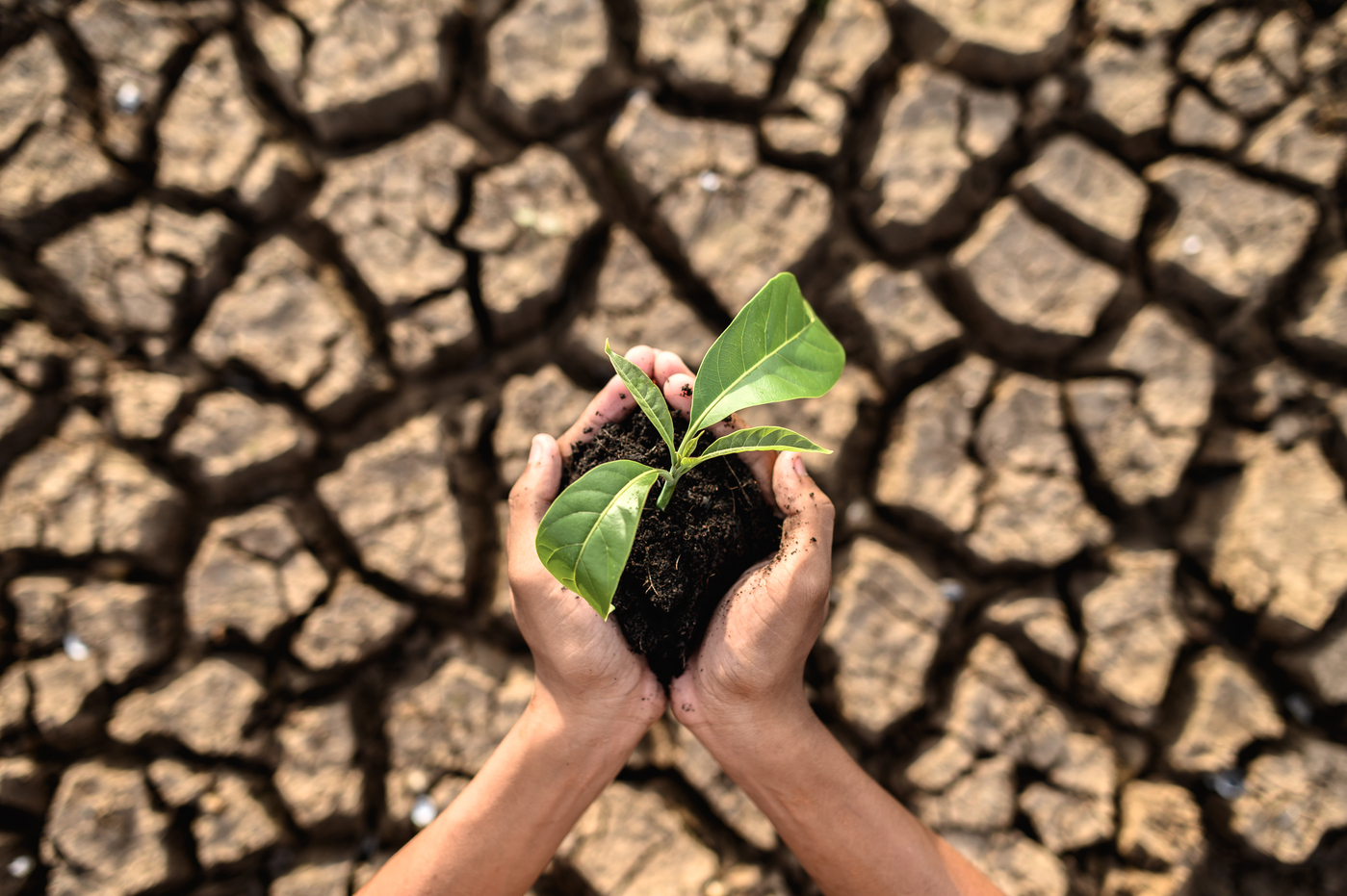 China y Países Bajos cambio climático