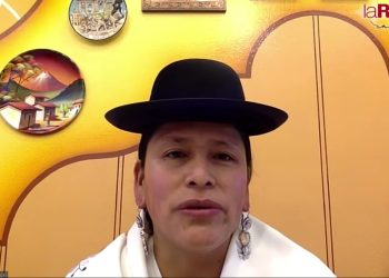La senadora Virginia Velasco, del Movimiento Al Socialismo (MAS) habla de normas en favor de la población. Foto: La Razón