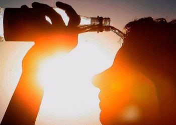 Nace en medio natural un bebé gorila de dos padres reintroducidos en Gabón