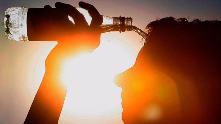Nace en medio natural un bebé gorila de dos padres reintroducidos en Gabón