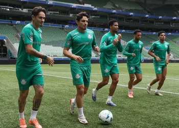 Palmeiras y Flamengo reanudan su pulso por el Brasileirão