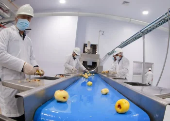 Citan a constructora por el caso de la planta de papa de Emapa