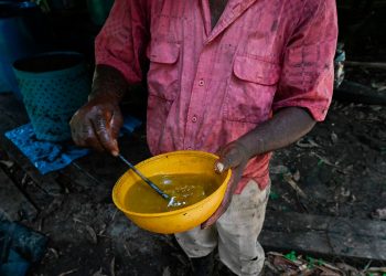 produccion_cocaina.jpg