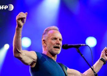 sting.jpg