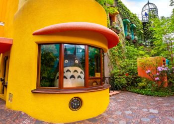 El público salva el Museo de Studio Ghibli