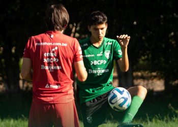 Tarijeña