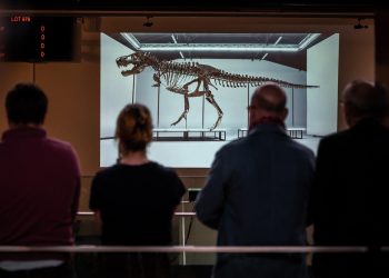 La fundación Phoebus compró el esqueleto del T-Rex. Foto: AFP