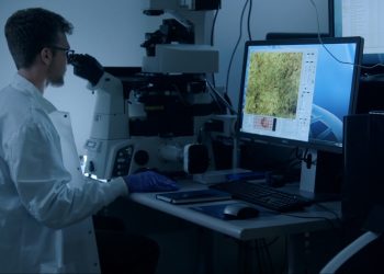 Intel avanza en la neuromorfología con Loihi 2