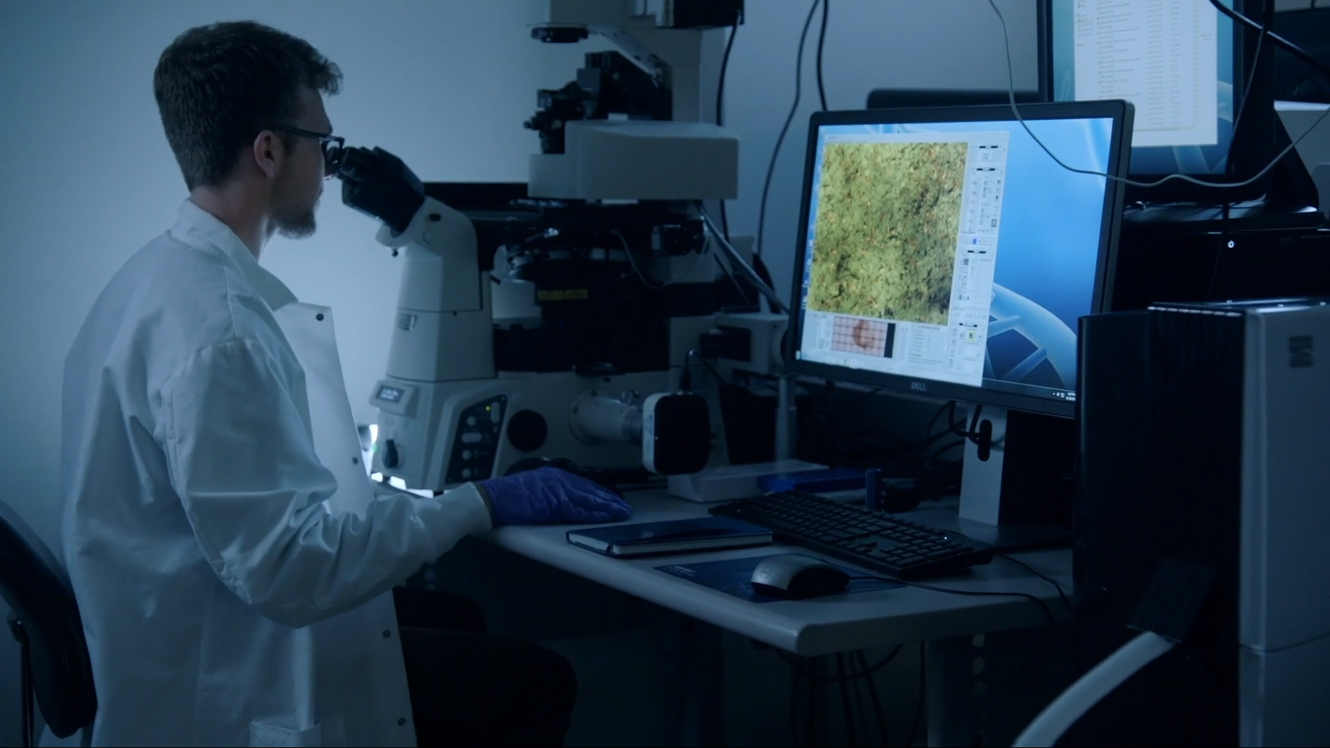Intel avanza en la neuromorfología con Loihi 2