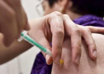 La fiebre amarilla se propaga a través de la picadura de un vector, arbovirus del género Flavivirus. Foto: ABI