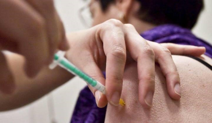 La fiebre amarilla se propaga a través de la picadura de un vector, arbovirus del género Flavivirus. Foto: ABI